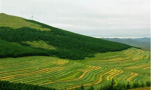 草原天路自驾游攻略 详细游记手稿(两次整理简单概括_草原天路自驾游全攻略