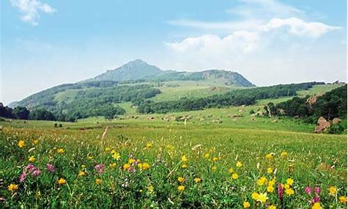 门头沟百花山自然风景区_门头沟百花山自然风景区简介