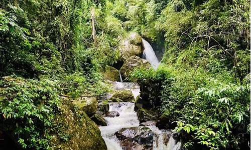 高黎贡山旅游_高黎贡山旅游时间