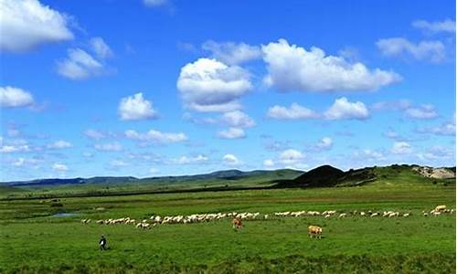 河北张北草原景点介绍_河北张北草原旅游攻略