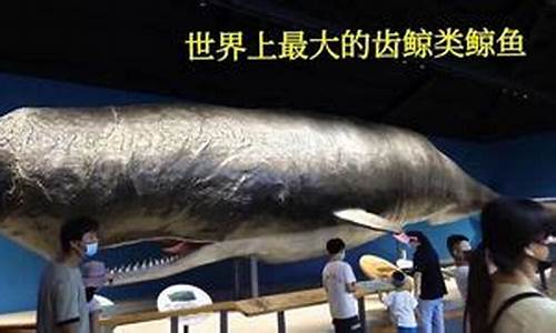 青岛水族馆门票多少钱一票_青岛水族馆门票多少钱