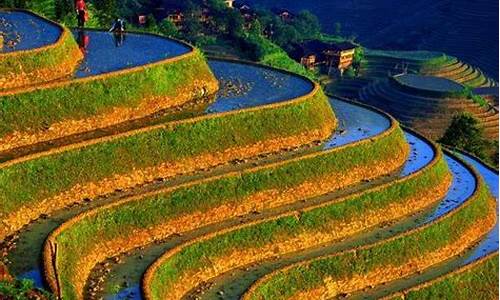 桂林旅游路线龙脊梯田怎么走_桂林旅游路线龙脊梯田怎么走最方便